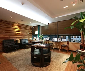 Maxwell interior